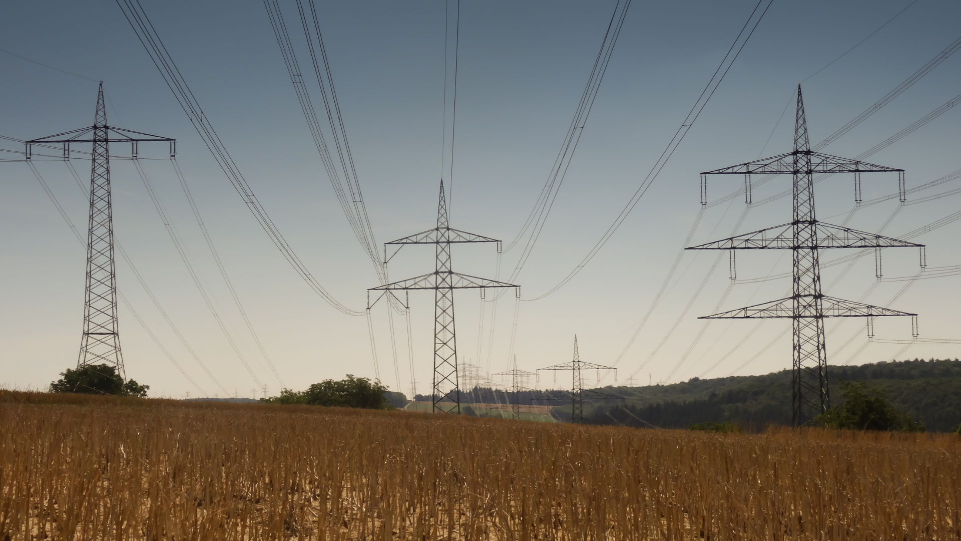 linie energetyczne wiszą nad polem